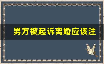 男方被起诉离婚应该注意哪些_离婚协议书 模板 标准版